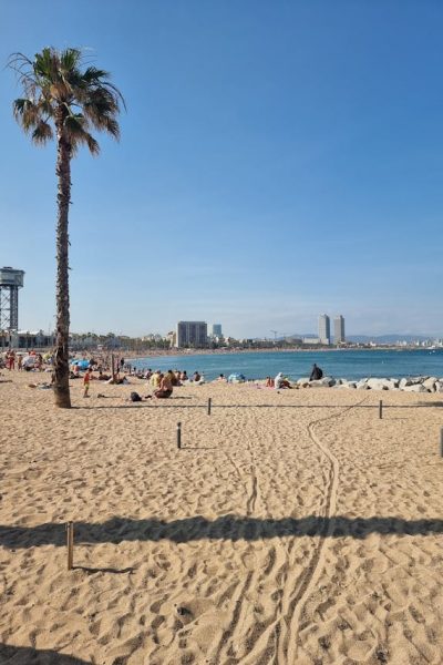 beach